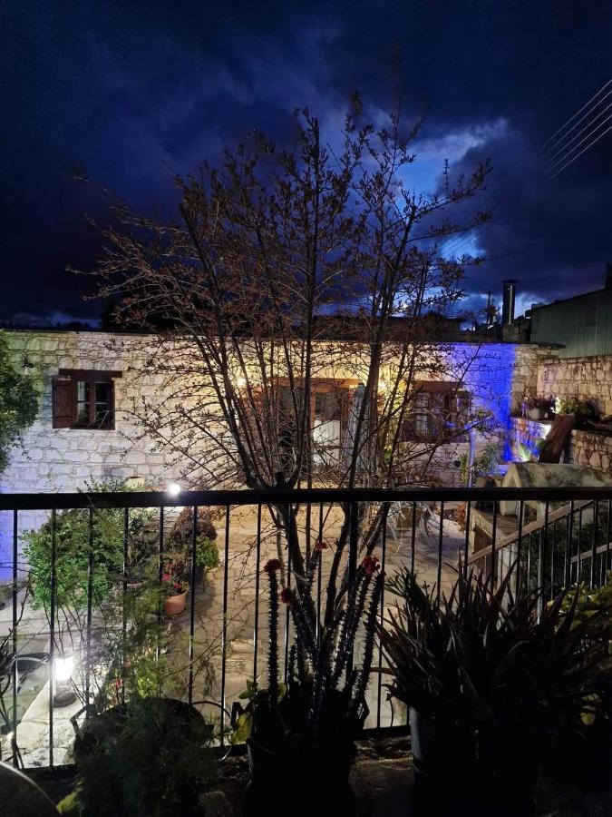 Aliki'S House 1+ 2 Pension Polis Buitenkant foto